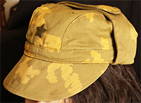 click here to enlarge