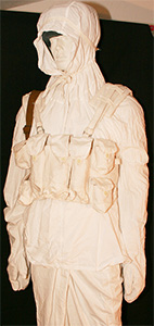 Click to enlarge